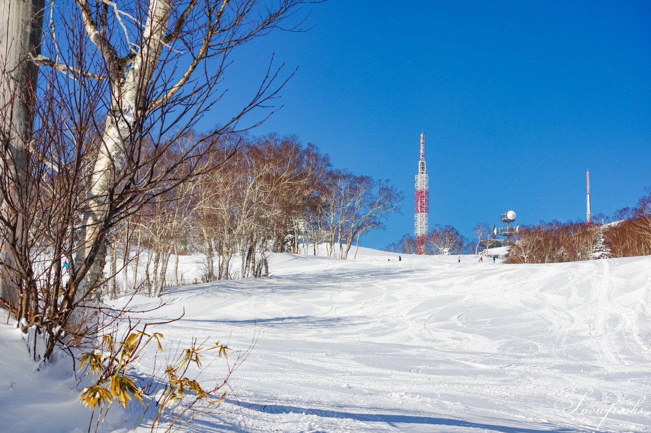 サッポロテイネ　これが北海道の冬。気温-11℃、澄んだ青空の下、パウダースノーが舞う天空のゲレンデ！